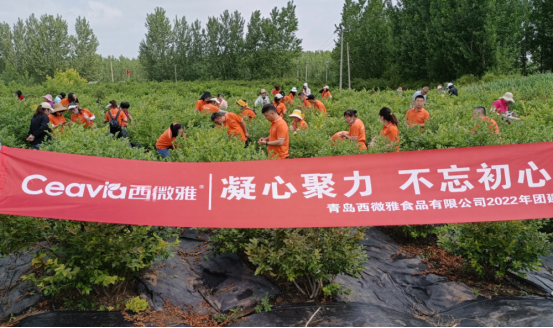 2022年青島西微雅企業團建活動圓滿結束(圖1)